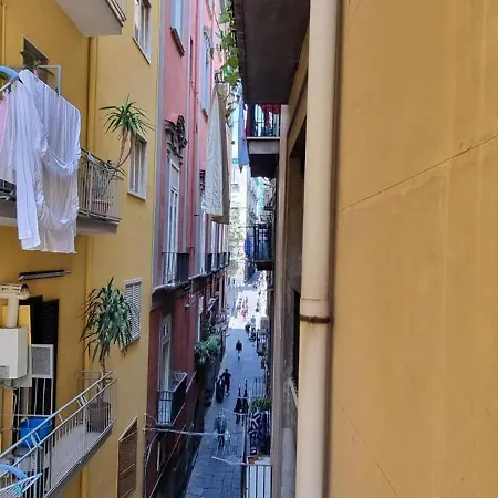 Nilo Casa de hóspedes 4*