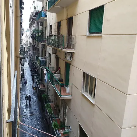 בית הארחה Nilo 4*